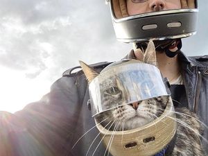 Gemas! Pria Ini Bikin Helm Pakai Printer 3D Buat Kucing Kesayangannya