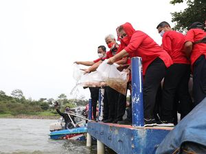 Tebar Bibit Ikan di Waduk Jatibarang, Ganjar: Kita Turunkan Stunting