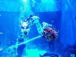 Tempat Konservasi Jakarta Ini Hadirkan Liong Bawah Air dan Angpao Gratis