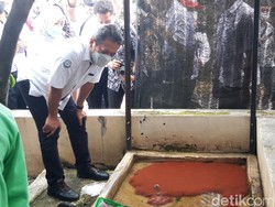 Menteri KKP ke Kampung Lele Boyolali, Bicara Potensi Cuan Triliunan