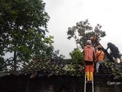 Puluhan Pohon Tumbang-9 Rumah Rusak Gegara Cuaca Ekstrem di Sleman