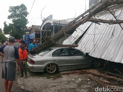 Pohon Tumbang Tersapu Angin Kencang Timpa Mobil dan Bengkel di Tulungagung