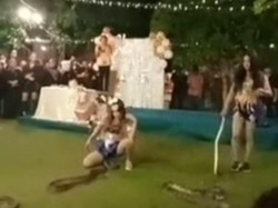 Heboh Warga Madina Gegara Aksi Tari Ular Para Waria