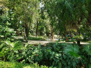 Taman di Surabaya Ditutup dan CFD Ditiadakan Antisipasi Omicron Taman di Surabaya Ditutup dan CFD Ditiadakan Antisipasi Omicron