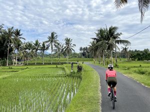 Benarkah Orang Kreatif Lebih Suka Sendirian? Ini Kata Studi