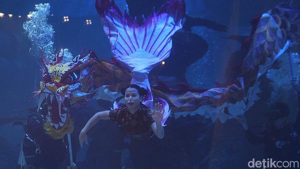 Kepincut Atraksi Liong Bawah Air di Jakarta Aquarium