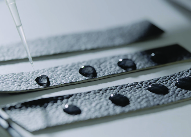 Bahan reishi kualitas premium/