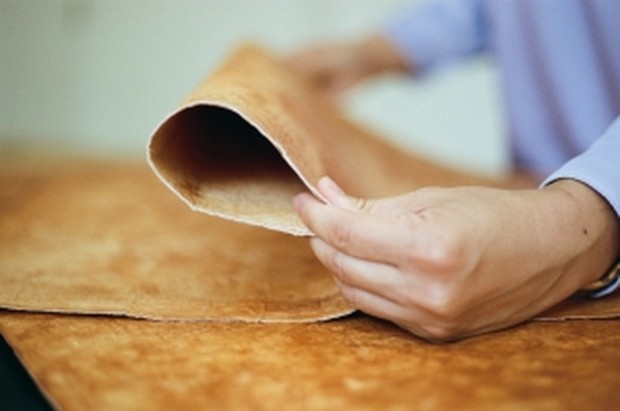 Pembuatan reishi yang eco-friendly/