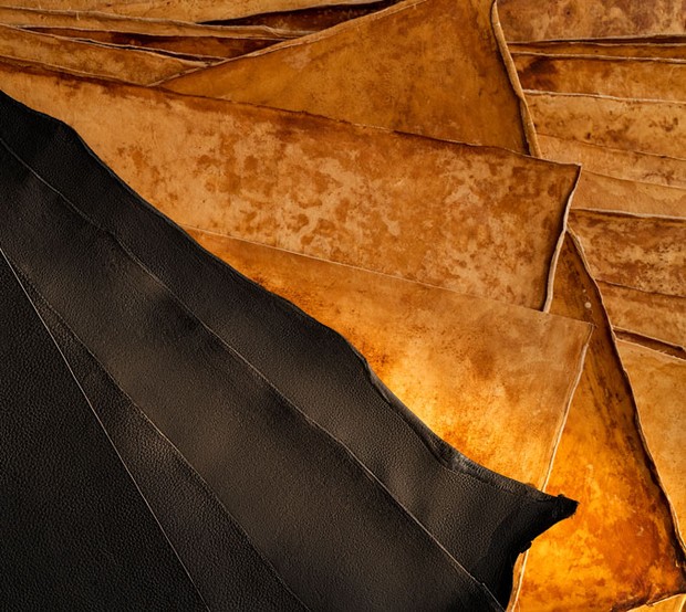 Material Reishi yang terbuat dari jamur/