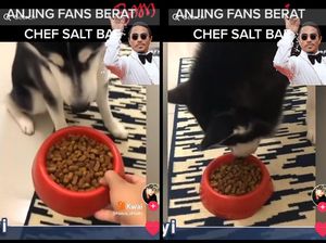 Gemas! Anjing Ini Baru Mau Makan Setelah Pemiliknya Tiru Gaya Salt Bae Gemas! Anjing Ini Baru Mau Makan Setelah Pemiliknya Tiru Gaya Salt Bae