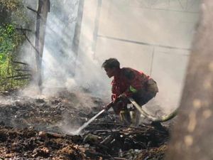 Kandang Ayam di Blitar Ludes Terbakar, Pemilik Rugi Rp 400 Juta
