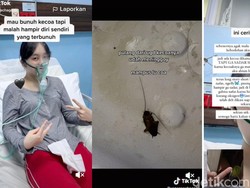 Viral Ingin Basmi Kecoak, Malah Sekarat Keracunan Semprotan Racun Serangga