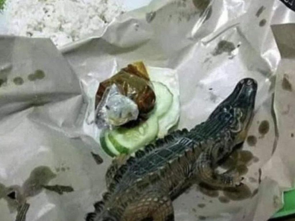 10 Masakan Konyol Netizen, Ada Seafood Plastik hingga Tumis Dinosaurus!