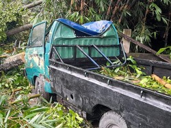 Puting Beliung di Blitar, Puluhan Pohon Tumbang Timpa Rumah-Kendaraan Warga