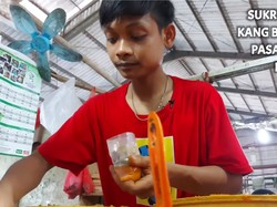 Kisah Sukses Pemuda Jualan Bumbu Jadi di Pasar, Sebulan Omzetnya Rp 60 Juta
