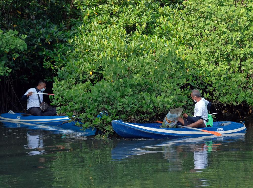 Sambut Momentum G20 lewat Aksi Bersih-bersih Mangrove di Bali