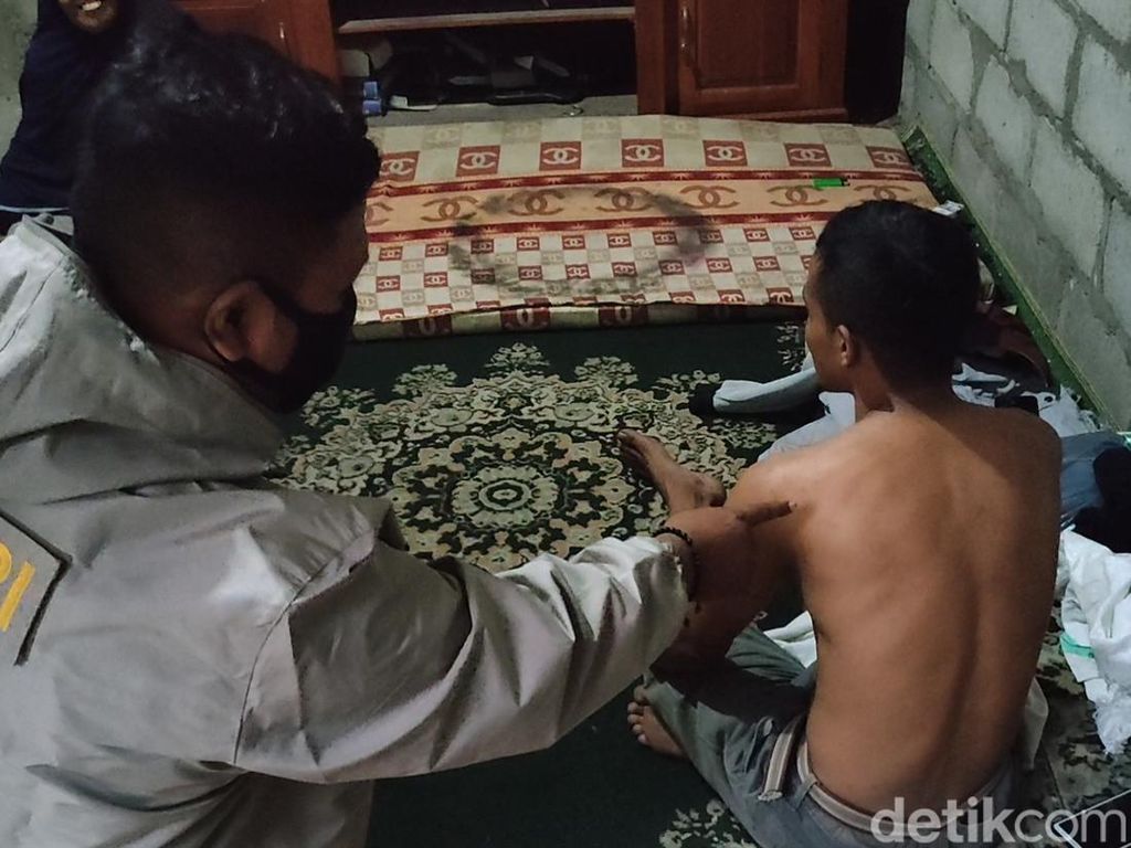 Detik-detik Serangan Tawon Gung Kulon Progo, Begini Kesaksian Korban Detik-detik Serangan Tawon Gung Kulon Progo, Begini Kesaksian Korban