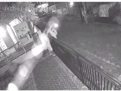 4 Pencuri Sepeda Balap Senilai Rp 30 Juta di Sidoarjo Terekam CCTV