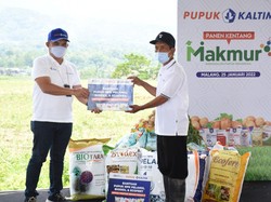 Top! Kentang Asal Malang Diborong Indofood Jadi Camilan