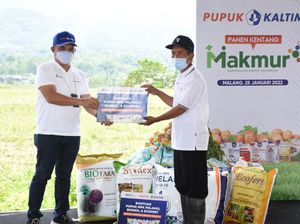 Top! Kentang Asal Malang Diborong Indofood Jadi Camilan Top! Kentang Asal Malang Diborong Indofood Jadi Camilan