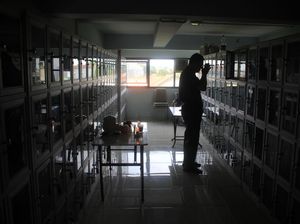Mengenal Sembahyang Leluhur, Tradisi Orang Tionghoa Saat Imlek Mengenal Sembahyang Leluhur, Tradisi Orang Tionghoa Saat Imlek