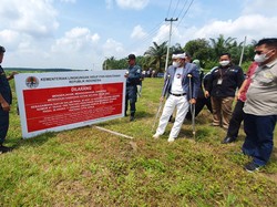 Sawit Ilegal di Riau, Dedi Mulyadi: Pemerintah Tahu Tapi Sulit Mengungkap