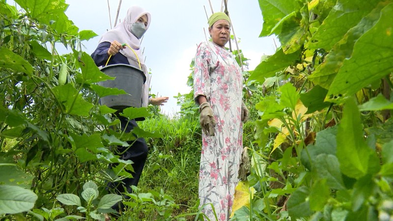 Mak Odah Tak Pernah Menyerah Meski Kemalangan Bertubi, Kamu Bisa Bantu Dia!