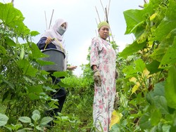 Mak Odah Tak Pernah Menyerah Meski Kemalangan Bertubi, Kamu Bisa Bantu Dia!