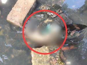 Warga Temukan Mayat Bayi di Sungai Surabaya Saat Kerja Bakti