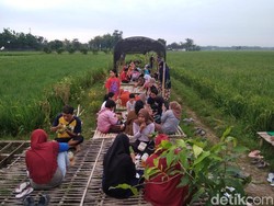 Sensasi Sarapan di Tengah Hamparan Sawah di Blora, Healing Banget!