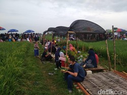 Asyik Banget, Sarapan di Tengah Hamparan Sawah!