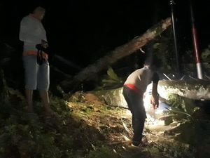 Akses Jalan Kabupaten di Bengkulu Lumpuh Akibat Longsor-Pohon Tumbang