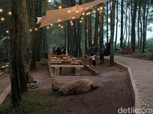 Tahu Nggak, Garut Punya Tempat Ngopi Hits di Tengah Hutan Pinus