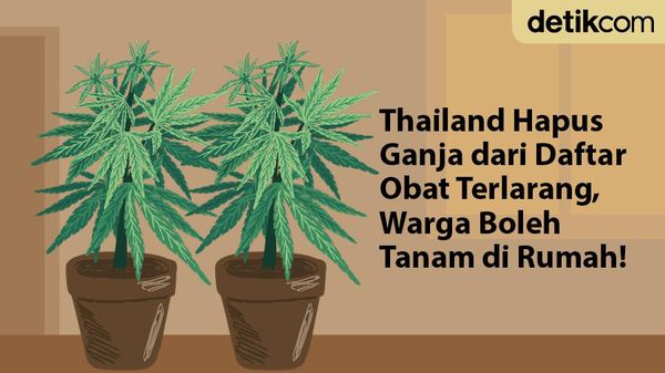 Pertama di ASEAN, Thailand Bolehkan Warga Tanam Ganja