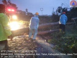 Angin Kencang Tumbangkan Puluhan Pohon dan Timpa 3 Rumah Warga Blitar