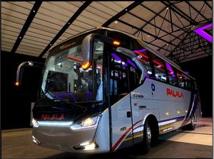 Siap Layani Rute Jakarta-Sumbar, Begini Wujud Bus Mewah PO Palala Siap Layani Rute Jakarta-Sumbar, Begini Wujud Bus Mewah PO Palala
