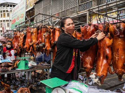 Berburu Babi Guling di Kamboja untuk Sajian Imlek