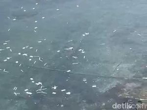 Waduh! Limbah Rapid Tes Antigen Berserakan-Cemari Selat Bali Waduh! Limbah Rapid Tes Antigen Berserakan-Cemari Selat Bali