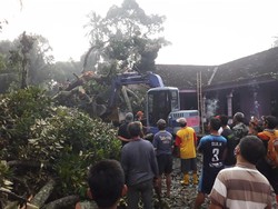 Puting Beliung Landa Klaten, 2 Warga Terluka Tertimpa Pohon
