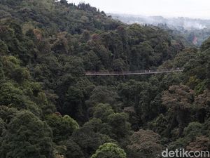 Menengok Jembatan Gantung Situgunung saat Imlek, Tetap Ramai! Menengok Jembatan Gantung Situgunung saat Imlek, Tetap Ramai!