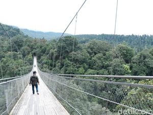 Daya Tarik Jembatan Gantung Sukabumi, Lengkap dengan Harga dan Fasilitasnya