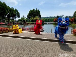 Libur Imlek, Barongsai Warna-warni Hibur Wisatawan di Lembang