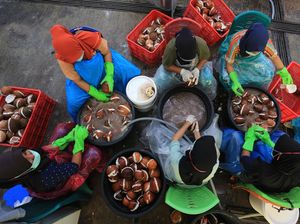 Melihat Industri Minyak Kelapa di Tengah Mahalnya Minyak Sawit