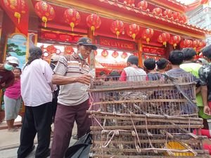 Pedagang Burung Pipit Raup Ratusan Ribu Rupiah di Imlek Tahun Ini Pedagang Burung Pipit Raup Ratusan Ribu Rupiah di Imlek Tahun Ini