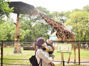 Iki Lho Rek 7 Wisata Asyik di Surabaya, Cek Harga Tiketnya! Iki Lho Rek 7 Wisata Asyik di Surabaya, Cek Harga Tiketnya!