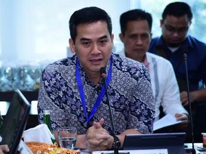 Legislator PDIP Puji Prabowo Beri Jaminan Danantara Bisa Diaudit