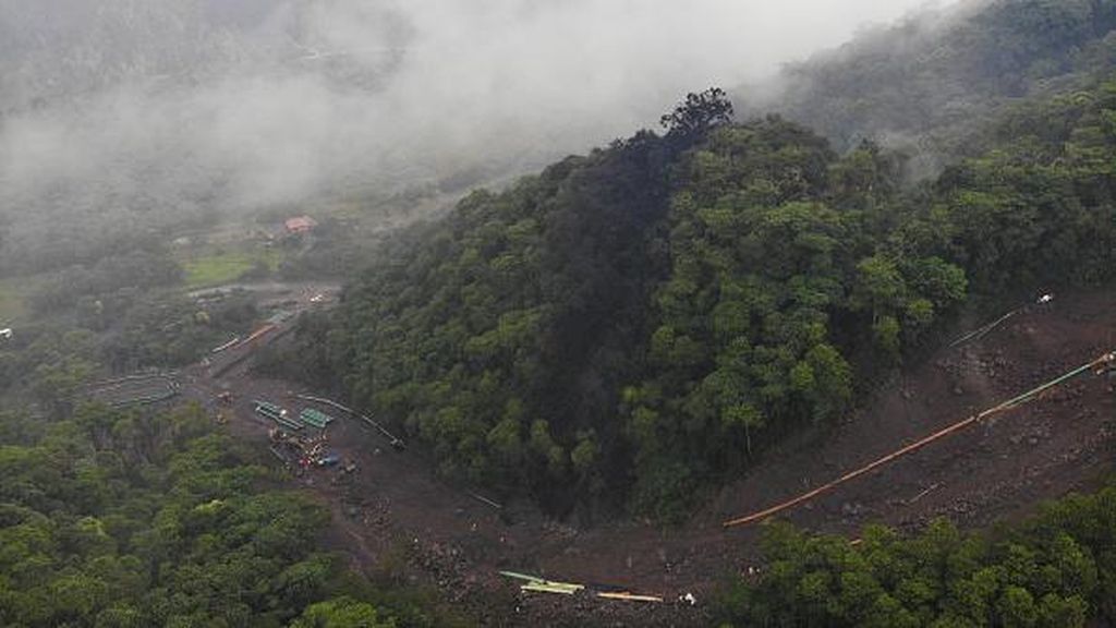 Hutan Amazon Menghitam Tercemar Tumpahan Minyak