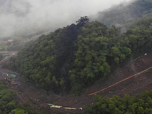 Hutan Amazon Menghitam Tercemar Tumpahan Minyak