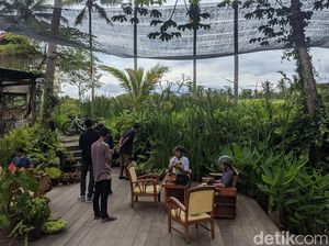 Tak Cuma Ngopi dan Makan, Kopi Mpat di Magelang Oke Juga Buat Healing