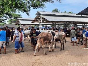 Ada Kasus Antraks, Bagaimana Harga Ternak di Gunungkidul?